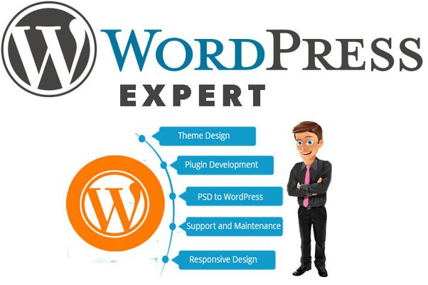 wordpress expert